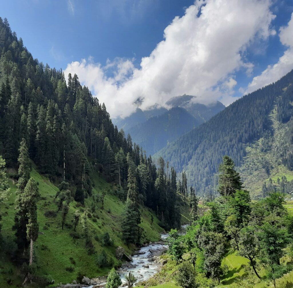 Best of kashmir tour package