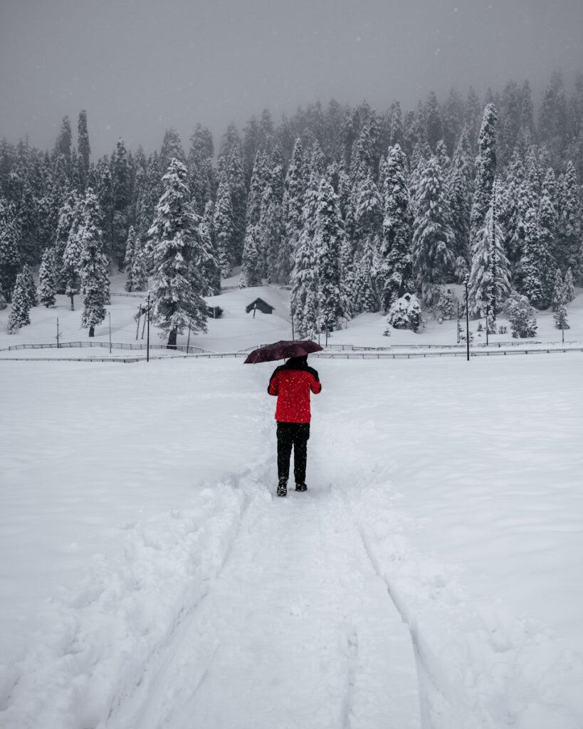 Kashmir in winter