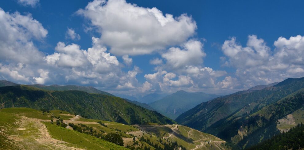 a scenic view of a valley with mountains in the background