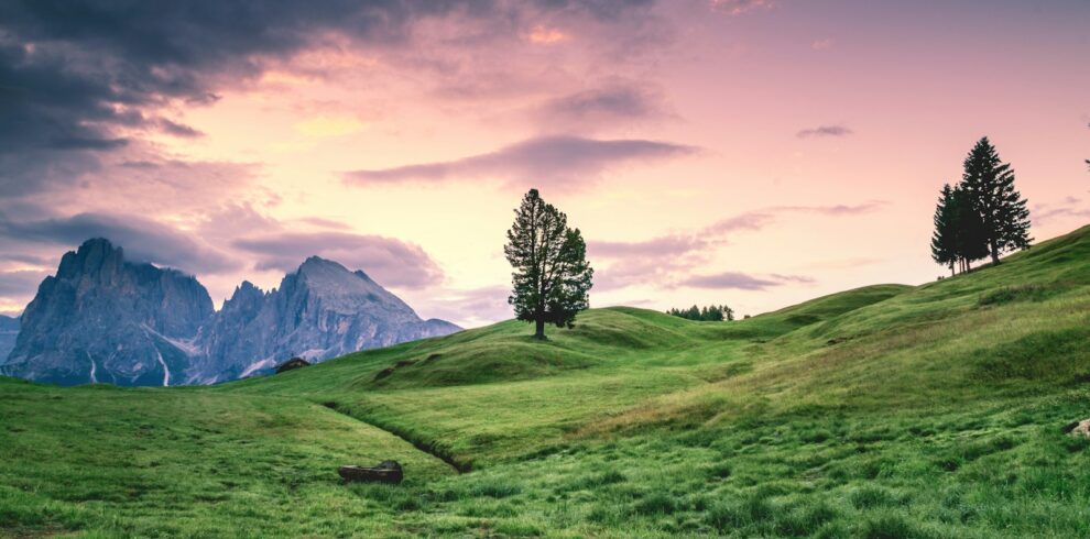 tosamaidan trek