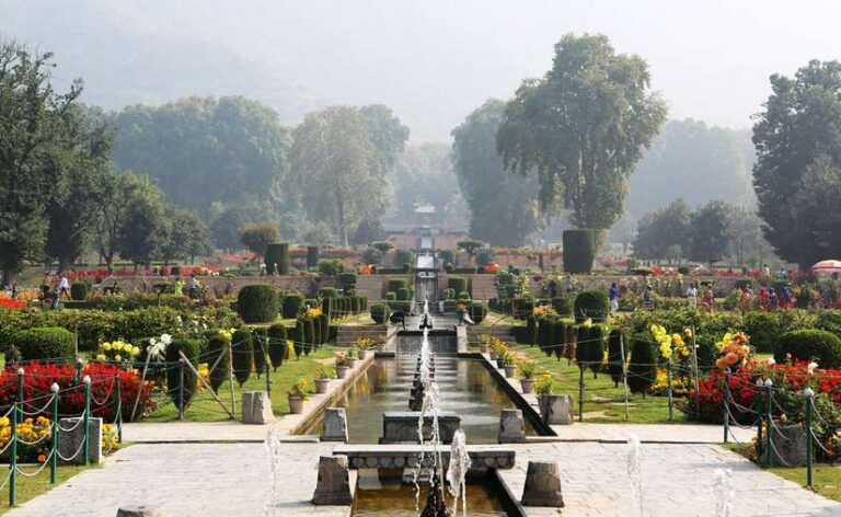 shalimar-bagh-srinagar1